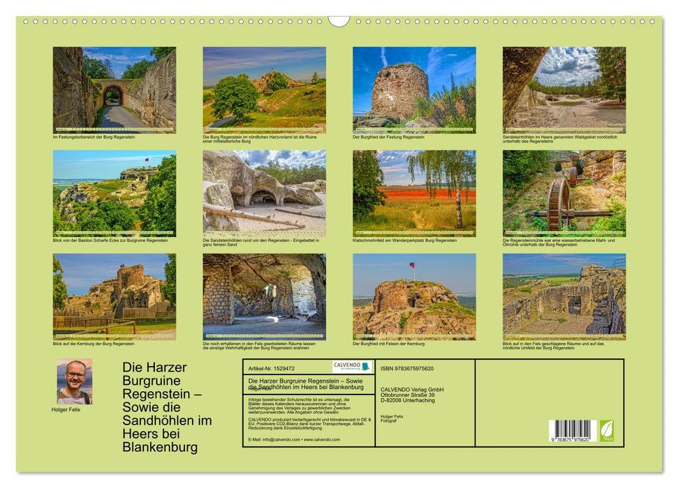 Die Harzer Burgruine Regenstein – Sowie die Sandhöhlen im Heers bei Blankenburg (CALVENDO Wandkalender 2024)