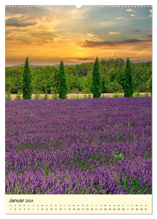 Provence Lavendel Paradies (CALVENDO Premium Wandkalender 2024)