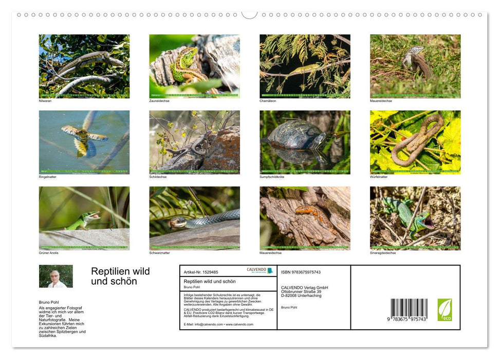 Reptilien wild und schön (CALVENDO Premium Wandkalender 2024)