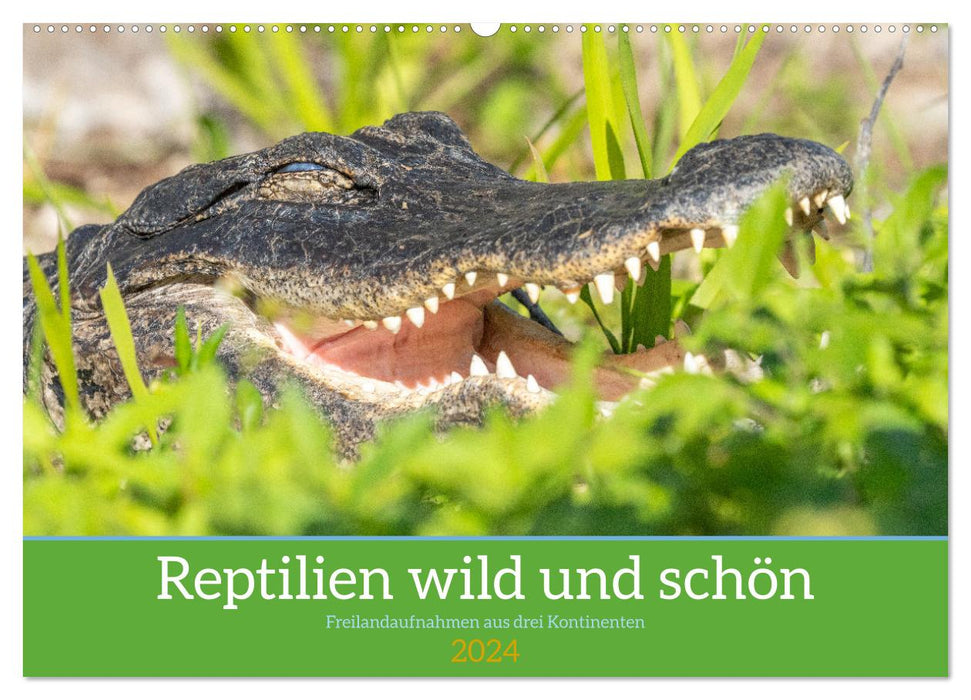 Reptilien wild und schön (CALVENDO Wandkalender 2024)