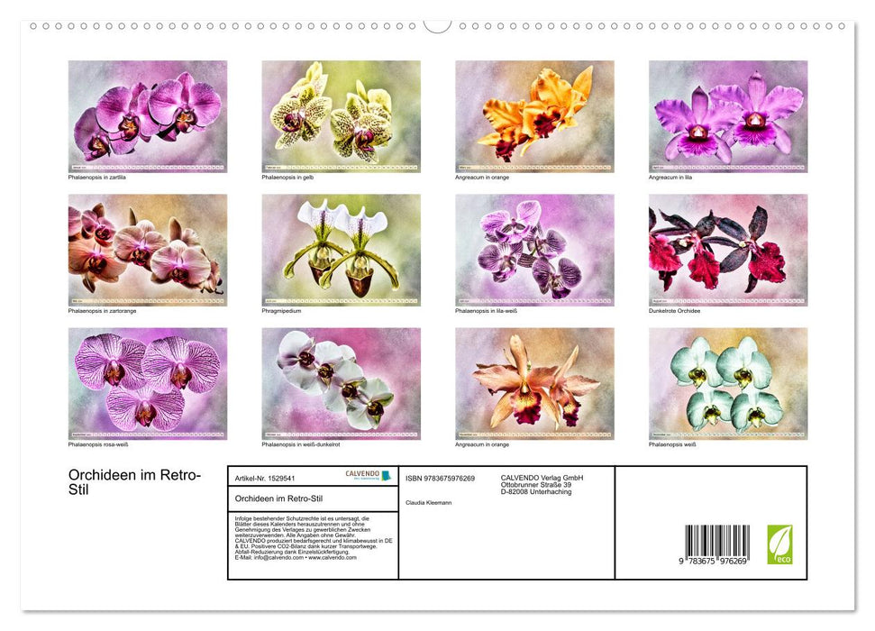 Orchideen im Retro-Stil (CALVENDO Premium Wandkalender 2024)