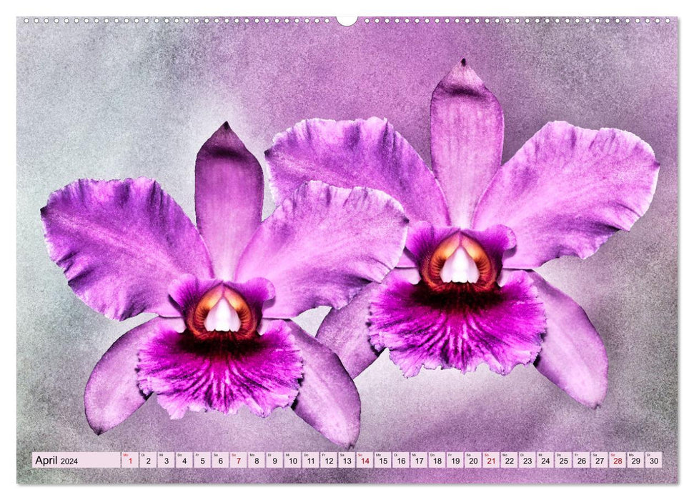 Orchideen im Retro-Stil (CALVENDO Premium Wandkalender 2024)