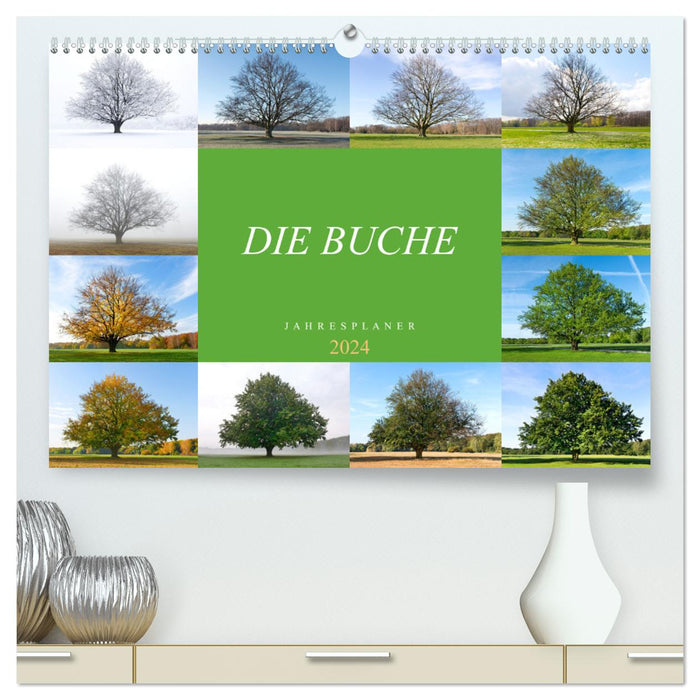 The Beech: Annual Planner 2024 (CALVENDO Premium Wall Calendar 2024) 