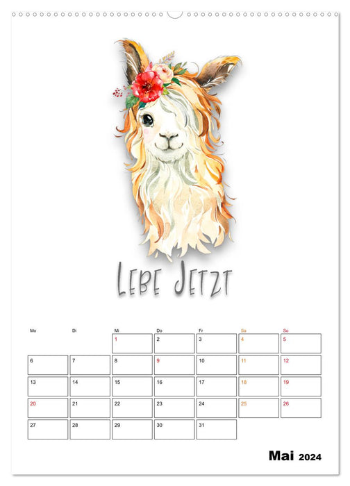 Stay cool - good mood calendar (CALVENDO wall calendar 2024) 