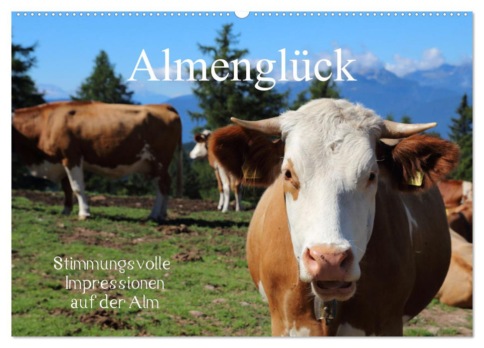 Almenglück (CALVENDO wall calendar 2024) 