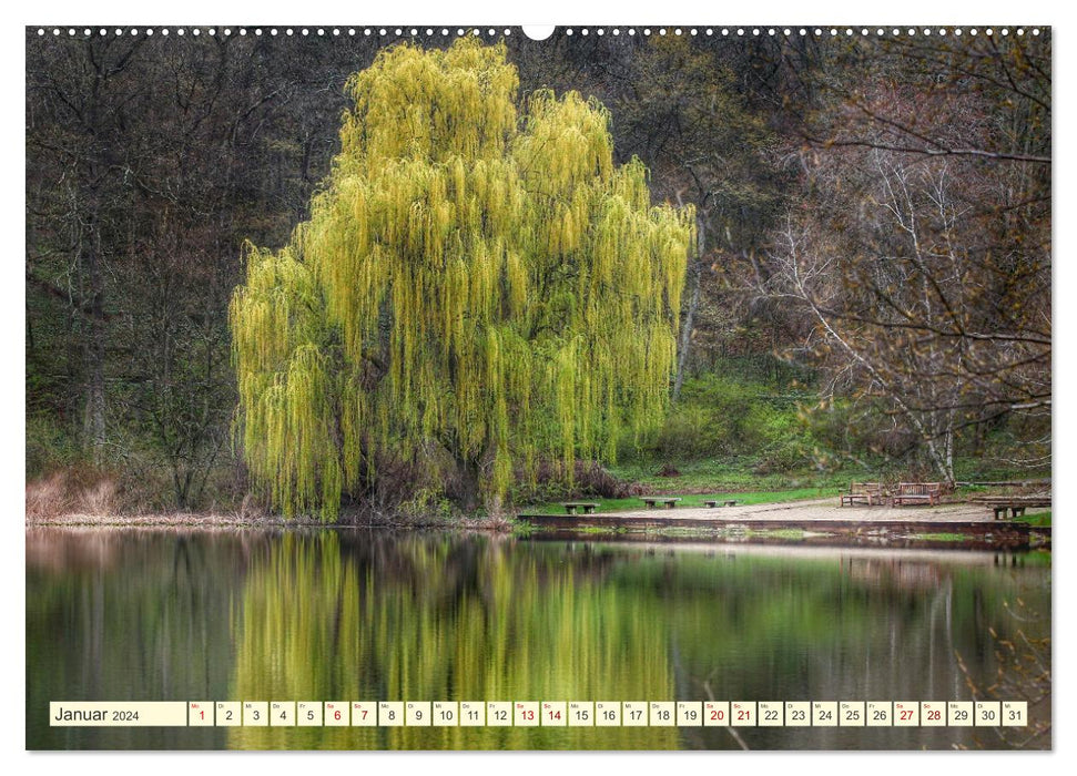 Trees, the breath of nature (CALVENDO wall calendar 2024) 