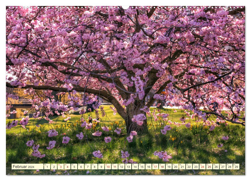 Trees, the breath of nature (CALVENDO wall calendar 2024) 