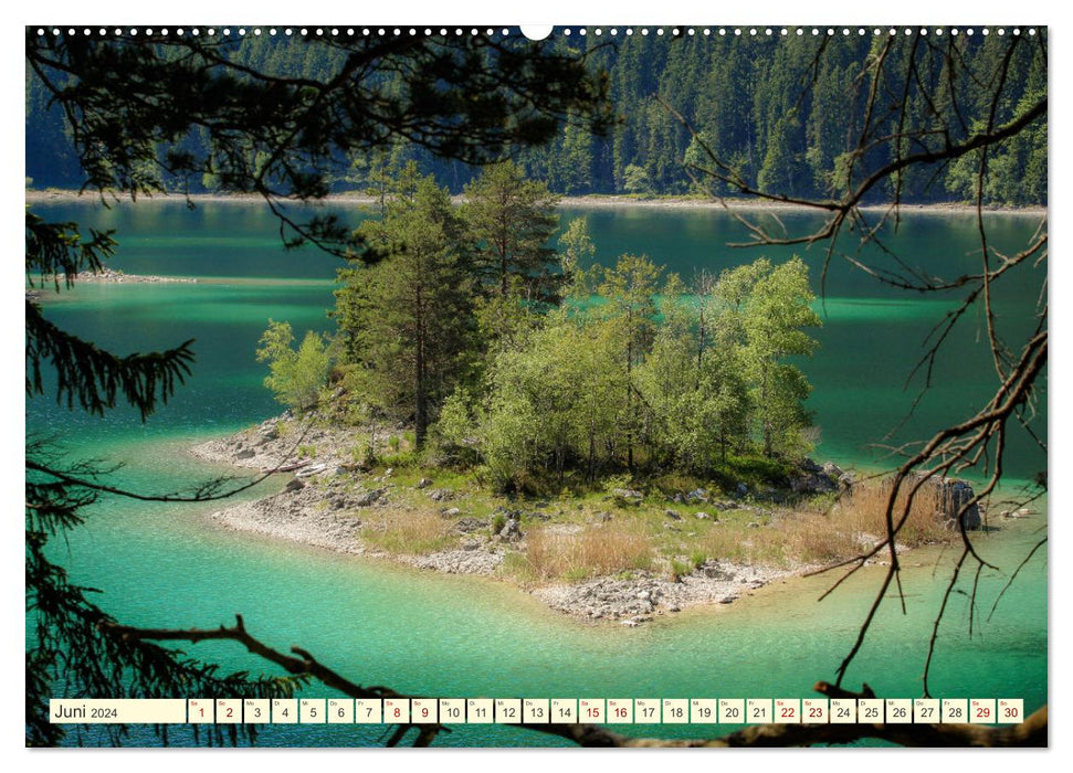 Trees, the breath of nature (CALVENDO wall calendar 2024) 