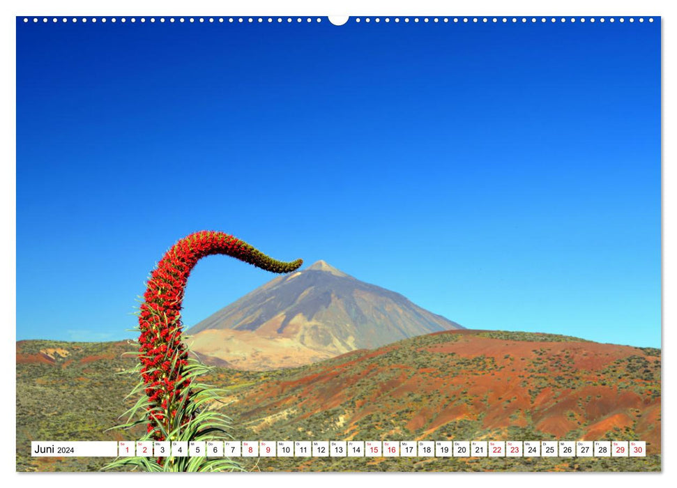 Tenerife Island of the Blissful (CALVENDO Wall Calendar 2024) 
