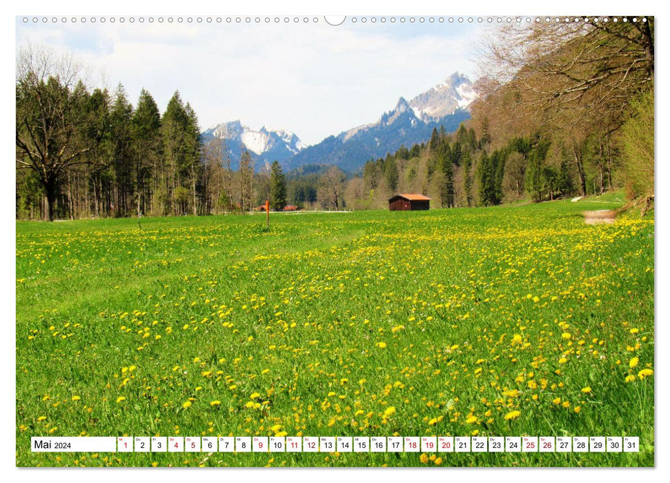 Das Graswangtal (CALVENDO Premium Wandkalender 2024)