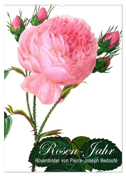 Rose Year (CALVENDO wall calendar 2024) 