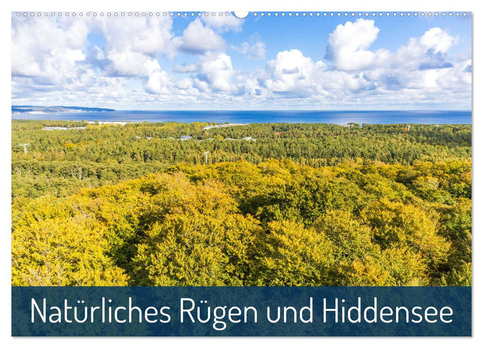 Natürliches Rügen und Hiddensee (CALVENDO Wandkalender 2024)