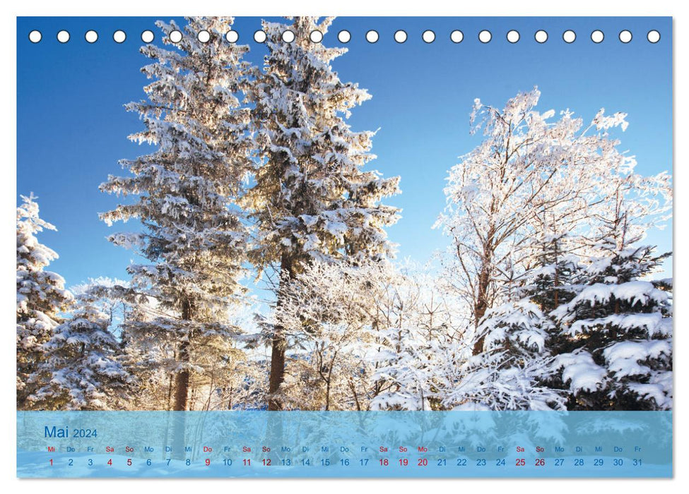 Winter days in the mountains (CALVENDO wall calendar 2024) 