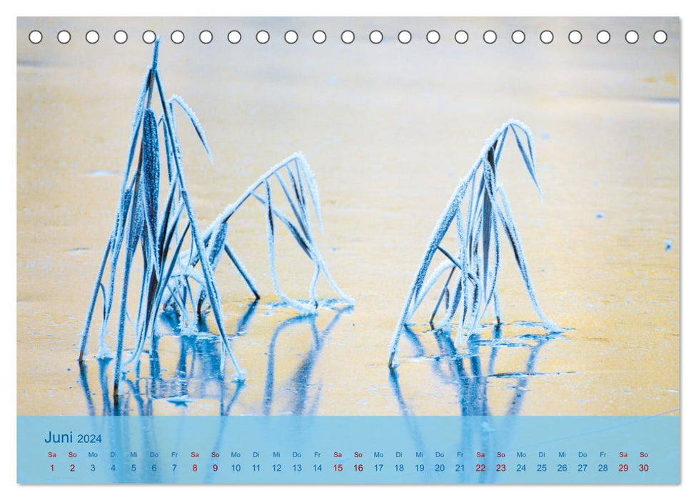 Winter days in the mountains (CALVENDO wall calendar 2024) 