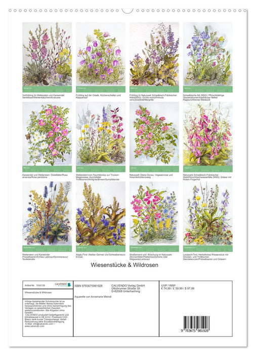 Meadow pieces &amp; wild roses (CALVENDO Premium wall calendar 2024) 