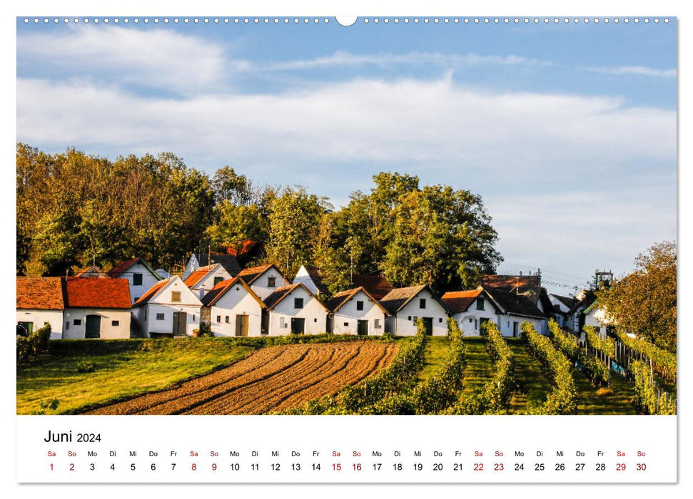 The Weinviertel in beautiful Lower Austria. (CALVENDO wall calendar 2024) 