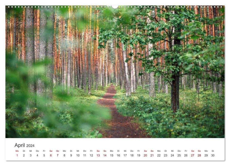 Lithuania - An unforgettable trip to the Baltics. (CALVENDO Premium Wall Calendar 2024) 