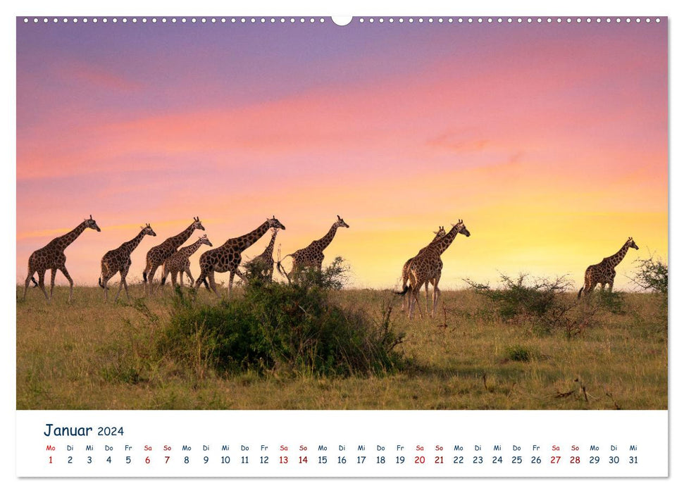 Fernweh Uganda - Naturschönheit Ostafrikas (CALVENDO Premium Wandkalender 2024)