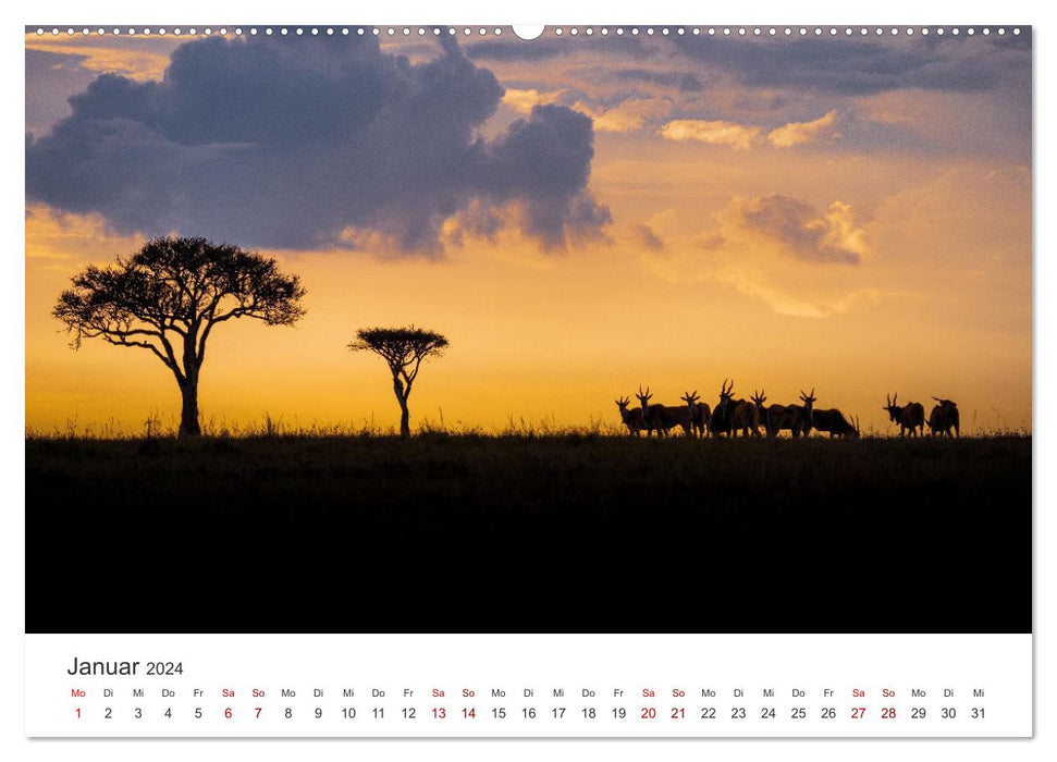 Kenya - A safari through untouched nature. (CALVENDO Premium Wall Calendar 2024) 