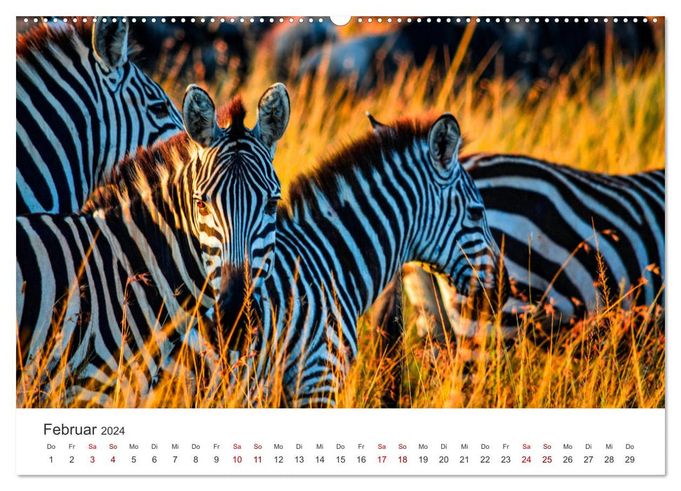 Kenya - A safari through untouched nature. (CALVENDO Premium Wall Calendar 2024) 