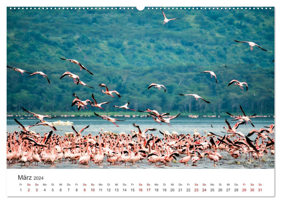 Kenya - A safari through untouched nature. (CALVENDO Premium Wall Calendar 2024) 