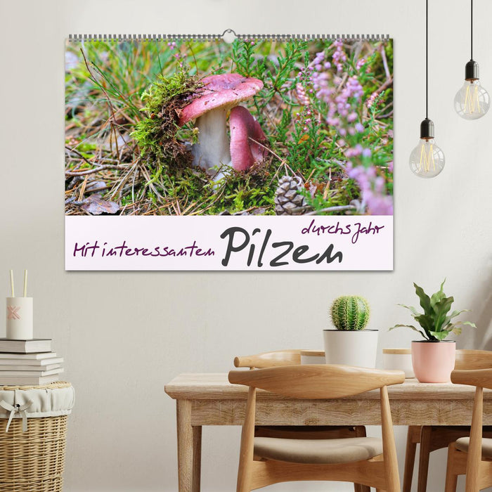Mit interessanten Pilzen durchs Jahr (CALVENDO Wandkalender 2024)