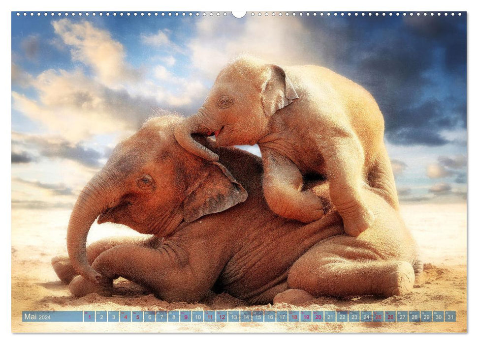 Tierische PORTRAITS hautNAH (CALVENDO Premium Wandkalender 2024)