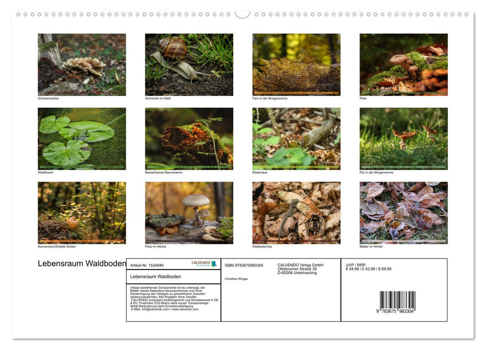 Forest floor habitat (CALVENDO wall calendar 2024) 