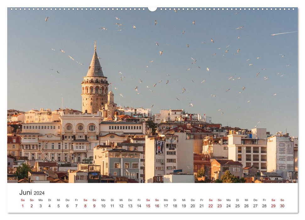 Türkiye - Un excellent conseil d'initié. (Calendrier mural CALVENDO 2024) 