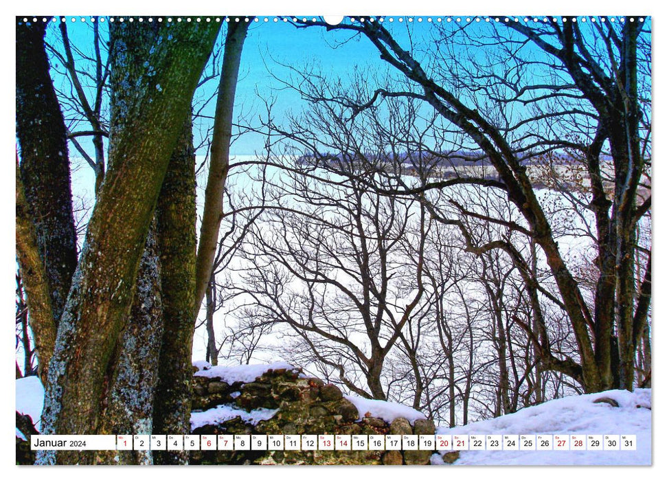 Winter in Ostpreußen - Bilder aus einem eisigen Land (CALVENDO Premium Wandkalender 2024)