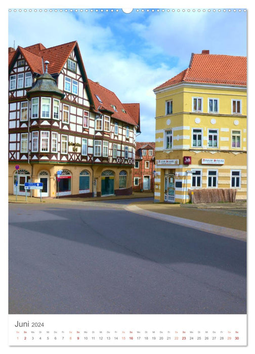 Helmstedt - Historische Stadt mit besonderem Flair (CALVENDO Wandkalender 2024)