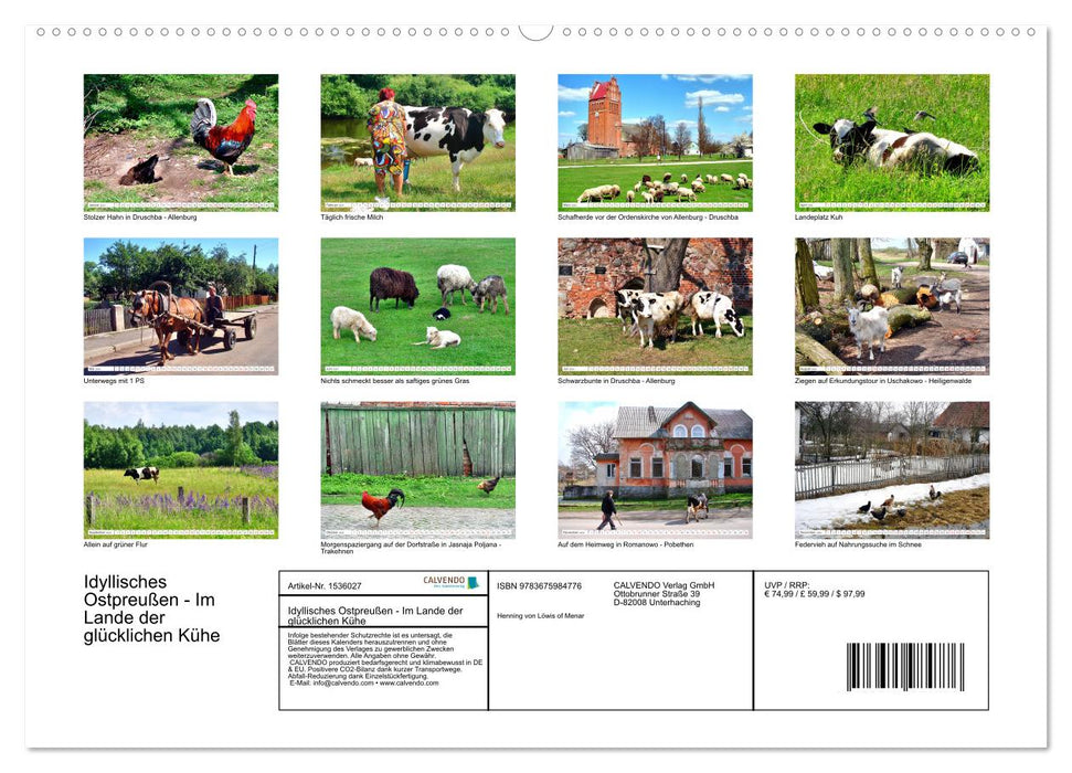 Idyllic East Prussia - In the land of happy cows (CALVENDO Premium Wall Calendar 2024) 