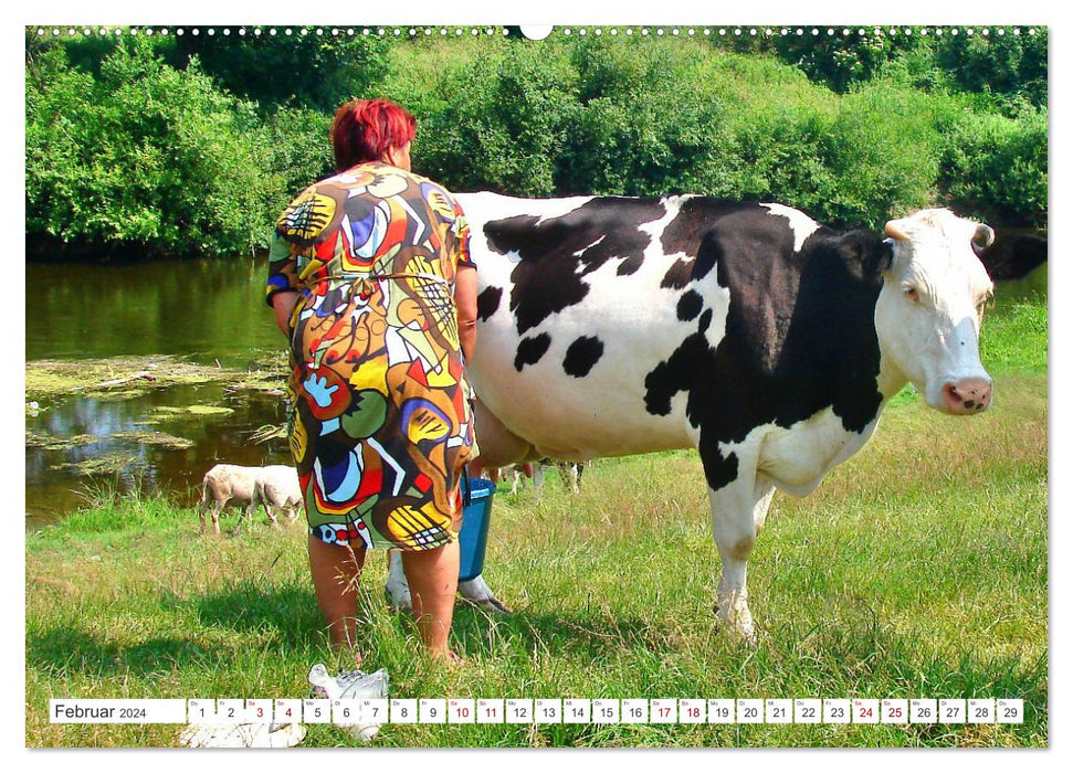 Idyllic East Prussia - In the land of happy cows (CALVENDO Premium Wall Calendar 2024) 