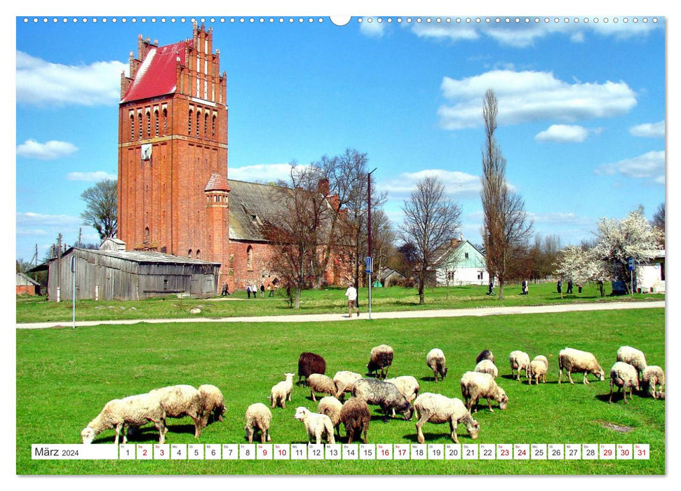 Idyllic East Prussia - In the land of happy cows (CALVENDO Premium Wall Calendar 2024) 