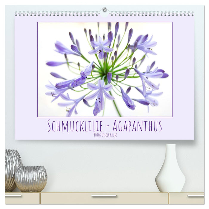 Schmucklilie - Agapanthus (CALVENDO Premium Wandkalender 2024)