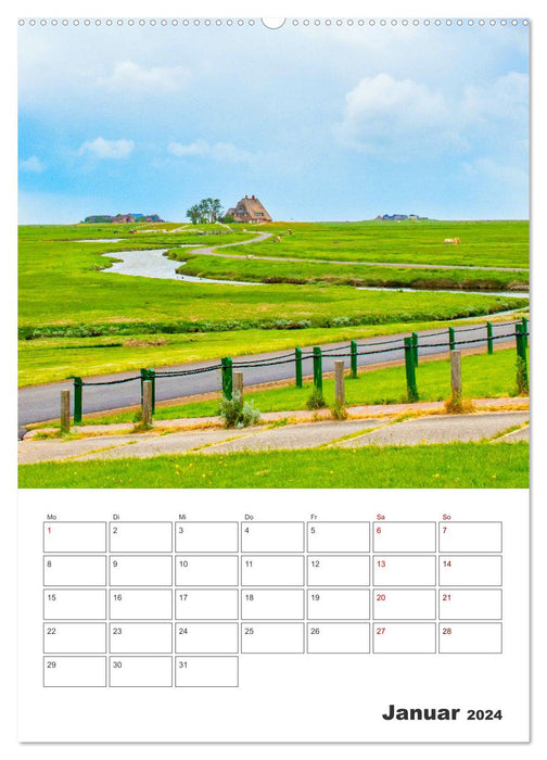 Hallig Hooge - Reiseplaner (CALVENDO Wandkalender 2024)