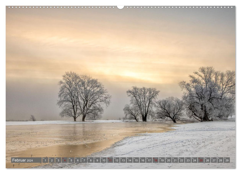 Naturlandschaft Elbe - Im Wechsel der Jahreszeiten (CALVENDO Premium Wandkalender 2024)
