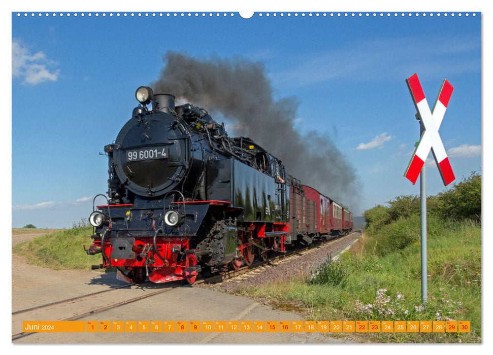 Dampfeisenbahnen in Deutschland (CALVENDO Premium Wandkalender 2024)