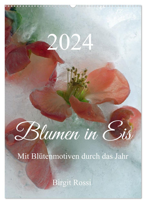 Blumen in Eis (CALVENDO Wandkalender 2024)