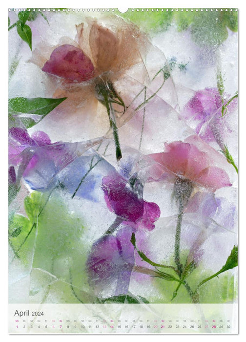 Blumen in Eis (CALVENDO Wandkalender 2024)