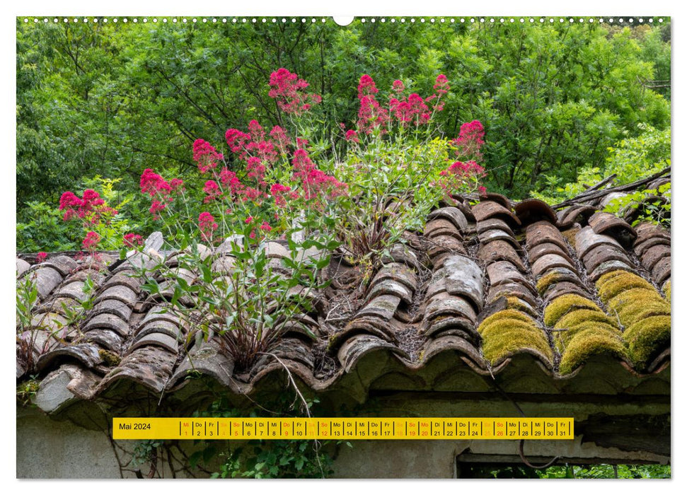 Der Nationalpark Cevennen - Frankreichs wilder Süden (CALVENDO Premium Wandkalender 2024)
