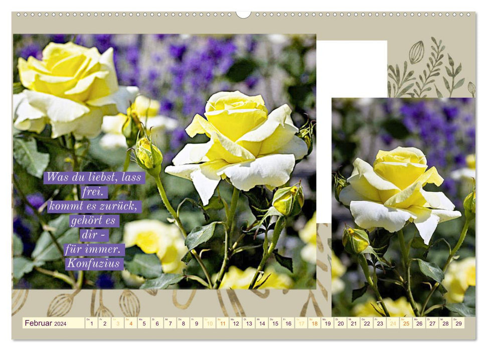 Rosenrote Gefühle, Rosen schmücken Worte der Liebe (CALVENDO Premium Wandkalender 2024)