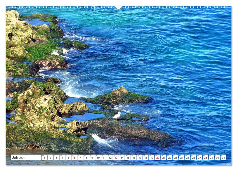 Meeres-Farben - Die Bucht von Havanna (CALVENDO Premium Wandkalender 2024)