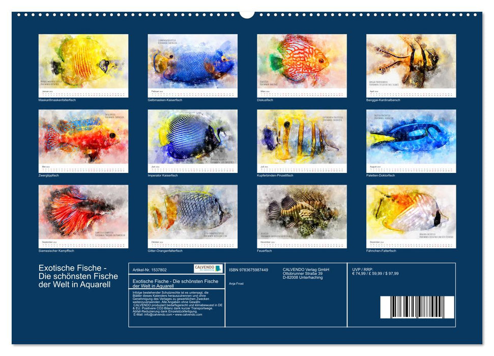 Exotische Fische - Die schönsten Fische der Welt in Aquarell (CALVENDO Premium Wandkalender 2024)