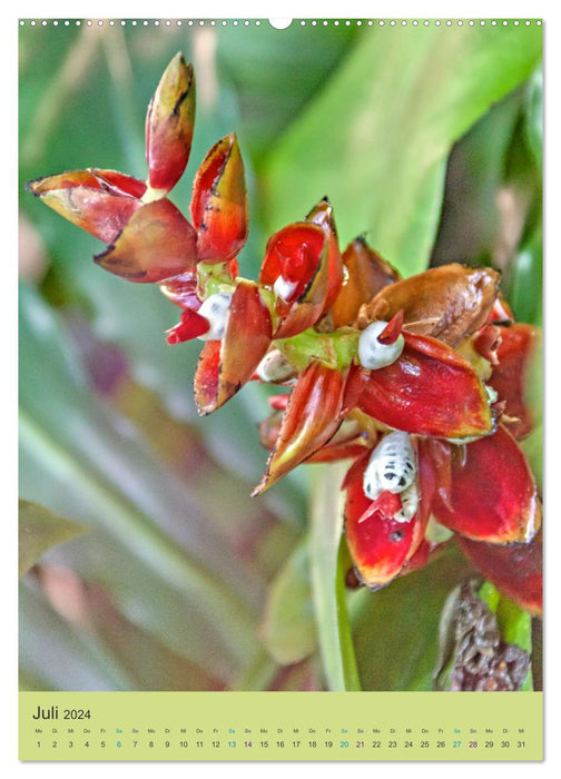 Botanischer Garten Basel - Eine Oase zum Entdecken (CALVENDO Premium Wandkalender 2024)