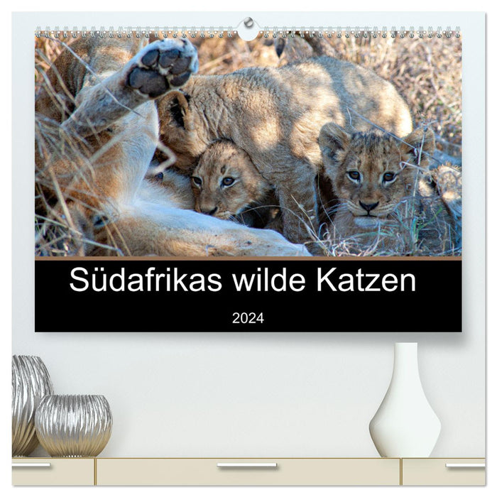 Südafrikas wilde Katzen (CALVENDO Premium Wandkalender 2024)