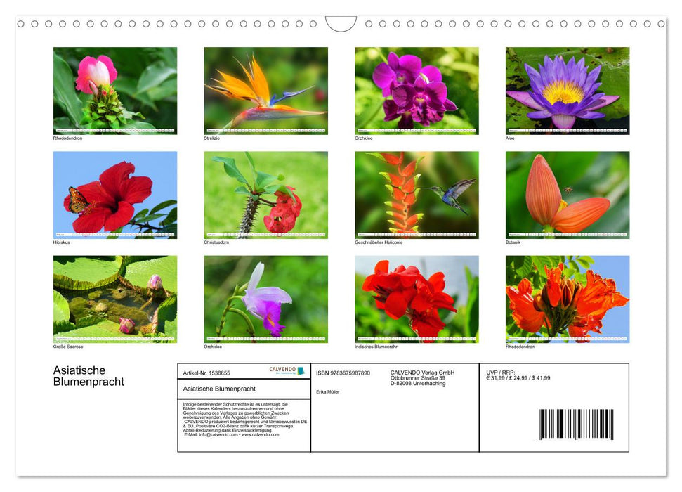 Asiatische Blumenpracht (CALVENDO Wandkalender 2024)