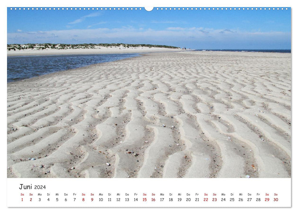 Island Dreams (CALVENDO Premium Wall Calendar 2024) 
