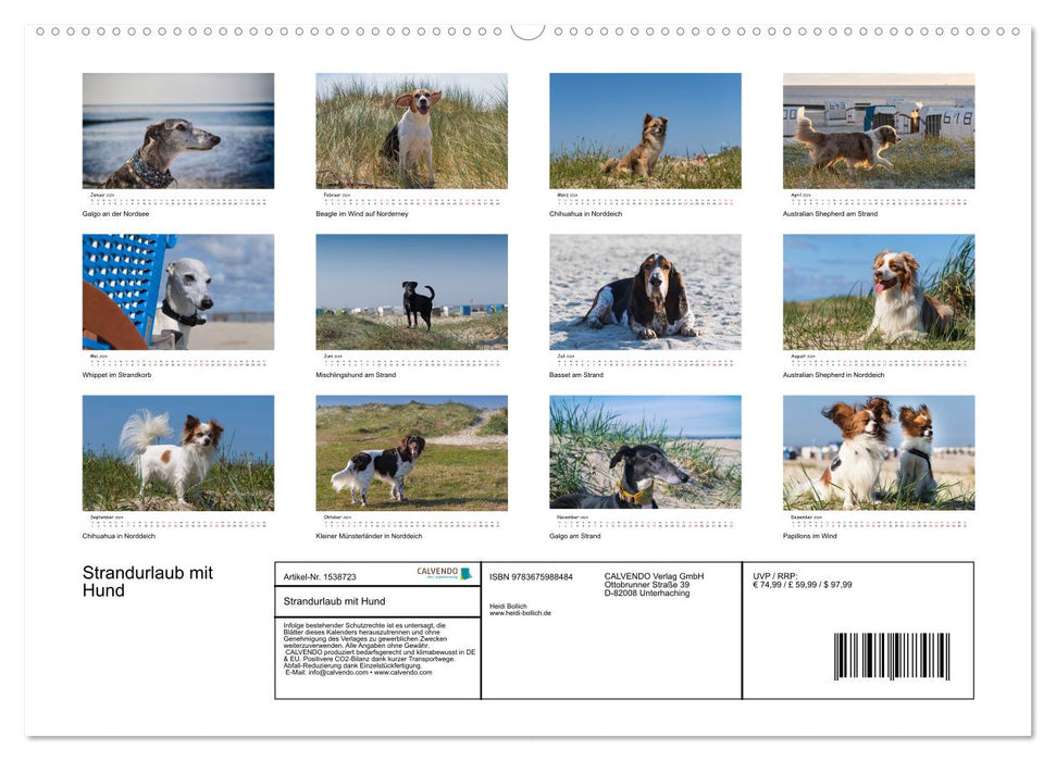 Strandurlaub mit Hund (CALVENDO Premium Wandkalender 2024)