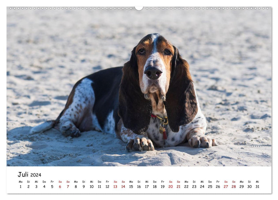 Beach vacation with dog (CALVENDO Premium Wall Calendar 2024) 